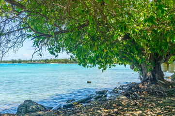 Paradise view of Rangiroa atoll, French Polynesia