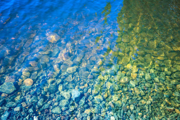 The texture or background of the stones and little fishes in the water of the lake, river or the sea near the bank or shore in the warm sunny day
