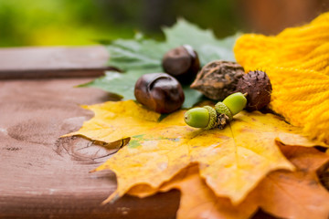 Autumn composition. Autumn background with colored leaves, pumpkin, chestnuts and acorns on wooden boards. Thanksgiving Day. Top view, flat lay