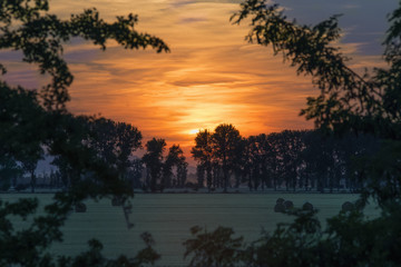 Image of a sunset of extraordinary beauty over a forest in the countryside.