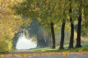 early autumn in the park