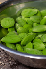 Parkia speciosa in water