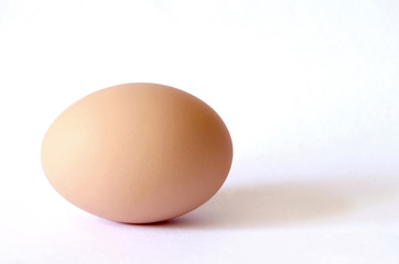 Egg isolated on white background. 