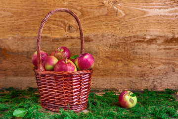 basket with apples on grass autumn time green red