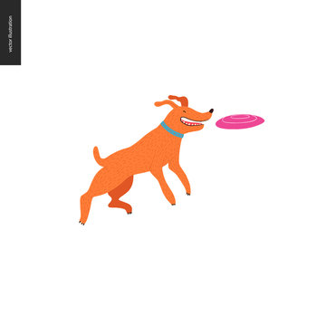 Dog In The Park - Flat Vector Concept Illustration Of An Orange Brownish Dog With Blue Collar, Jumping In The Air Trying To Catch A Pink Frisbee