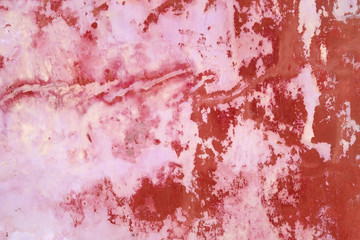Texture of a cement wall
