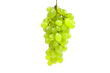 White bunch of grape on isolated white background