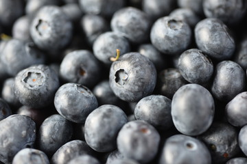 Blueberries close up, various varieties.