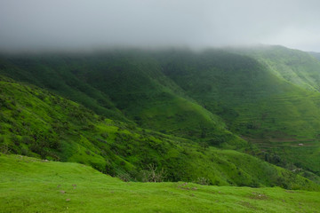 Fototapeta premium Lush green monsoon nature landscape mountains, hills, Purandar, Maharashtra, India 