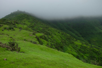 Fototapeta na wymiar Lush green monsoon nature landscape mountains, hills, Purandar, Maharashtra, India 