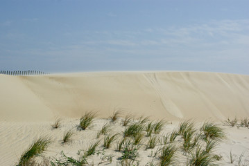 Sand Dunes 2