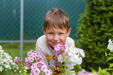 little boy on the background of flowers