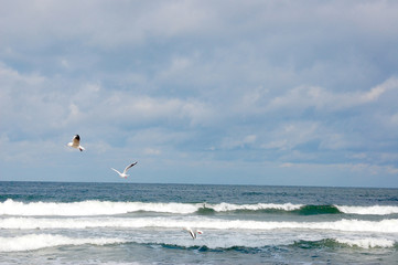 Baltic Sea 20