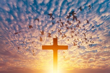 Cross.