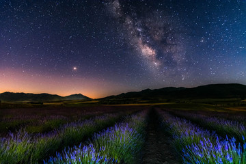 Campos de lavanda bajo Marte y la Vía Láctea - Moratalla, Murcia (España)