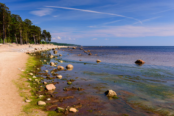 Baltic sea coast. Beautiful sandy beach on the Gulf of Finland, Leningrad region, Russia