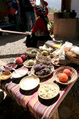 Display of natural material for dying wool