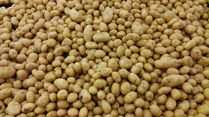 Potatoes for sale on the market