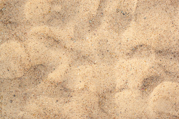 Sand on the the beach as background