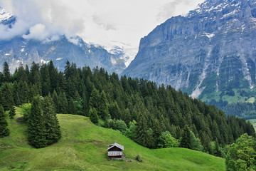 Fototapeta na wymiar The Eiger village of Grindelwald