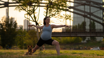 The concept of a healthy pregnancy and yoga. Young pregnant woman with a dog. A pregnant model that makes a prenatal warrior II, virrabhadrasana, two yoga postures