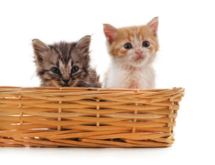 Fototapeta na wymiar Little kittens in the basket.