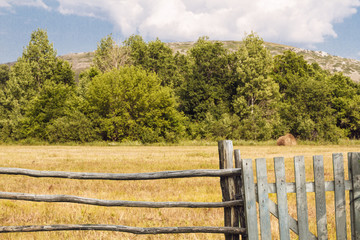 Old fence made of wood with gate in countryside. Beautiful summer landscape with forest and...