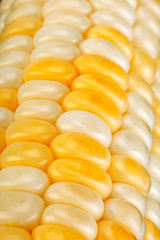 Corn vegatable closeup background