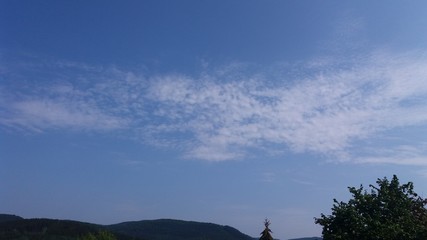 Natur Sommerzeit
