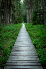 Obraz premium Wooden pathway in a park