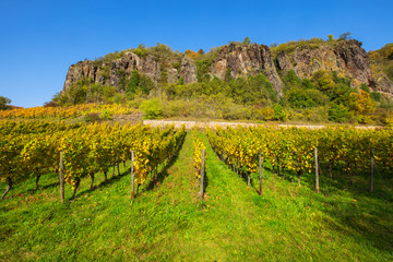 Weinberg im Nahetal im Herbst