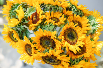 Fototapeta premium Bouquet of yellow sunflowers , flower in vase on old vintage table. Room morning. Gray background. Colors of autumn and mood fall