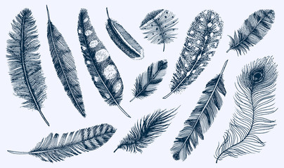 Set of Rustic realistic feathers of different birds, owls, peacocks, ducks. engraved hand drawn in old vintage sketch. Vector illustration.