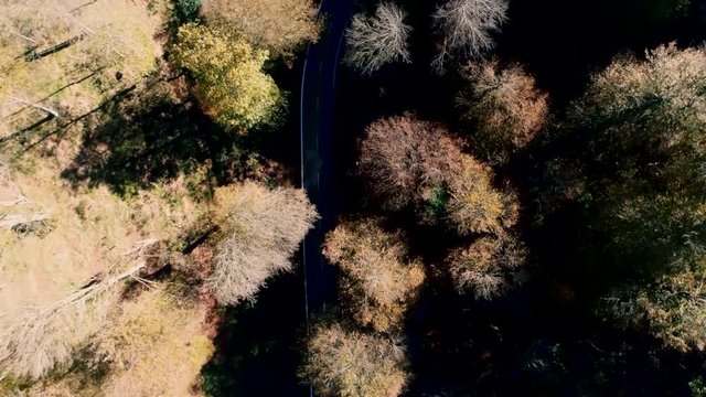 Aerial -Esteribar Valley, Eugi, Navarre, Spain on autumm.