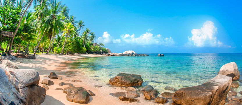 Fototapeta Piękna tropikalna plaża na egzotycznej wyspie z palmami