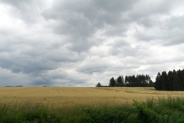 Fields and mountains. Slovakia