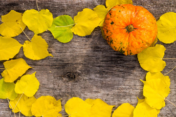 Fototapeta na wymiar Yellow leaves and pumpkin on rustic wooden background