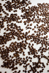 Lots of fresh brown coffee beans