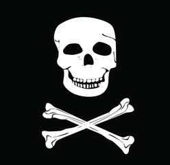 Pirate skull. vector illustration