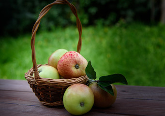 Juicy apples in a basket on a wooden table on a green background