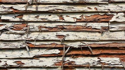 Abandoned old wood texture. - background.