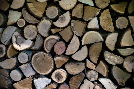 Natural wooden logs cut and stacked in pile, felled by the logging timber industry, Abstract photo of a pile of natural wooden logs background