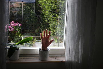 hand growing in a pot. of course photoshopped.