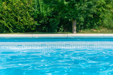 Fototapeta na wymiar Blue swimming pool with edge and vegetation and plants in the background. Backdrop, wallpaper. summer.