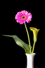Gerbera and calla