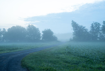 Obraz na płótnie Canvas foggy farm road