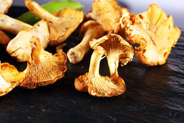 Mushrooms chanterelle on table. Raw wild mushrooms chanterelles. Composition with wild mushroom