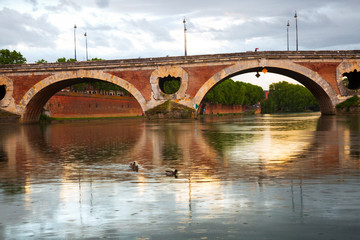 Fototapeta premium Pont Neuf over Garonne River in Toulouse
