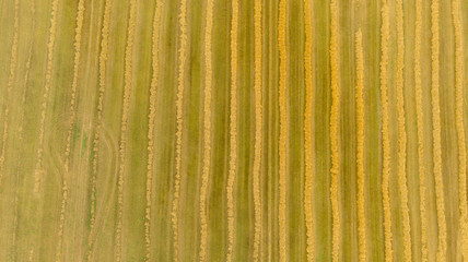 Agricultural Field With Bales Of Straw