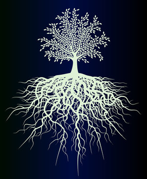 Download 5 879 Best Family Tree With Roots Images Stock Photos Vectors Adobe Stock